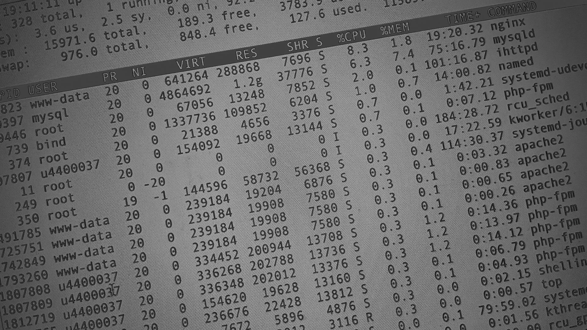 Настройка сервера в Агидели