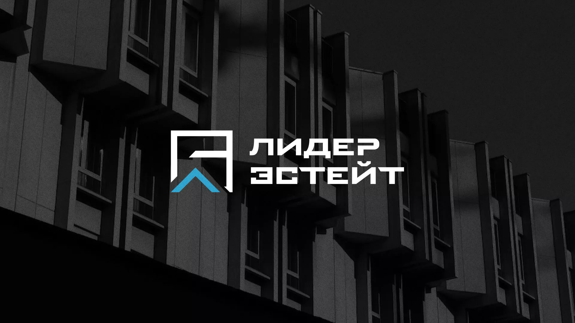 Разработка логотипа агентства недвижимости «Лидер Эстейт» в Агидели
